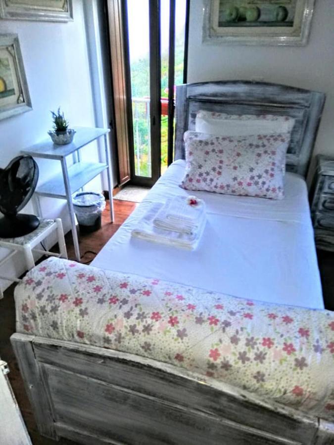 Quinta Do Cavaleiro Ao Sol - Um Lugar Ao Sol Guest House Catraia de Sao Paio Eksteriør bilde
